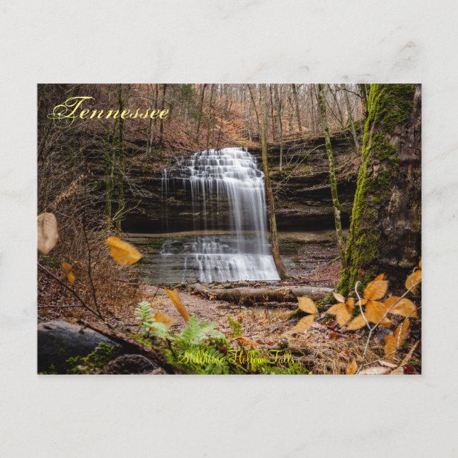 Stillhouse Falls Postcard (Front)