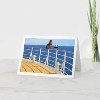 Stimulez et carte de croisière de panda