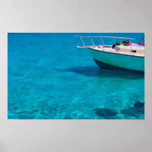 Sting Rays in Caymans Poster
