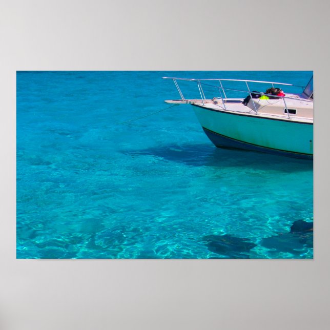 Sting Rays in Caymans Poster (Front)