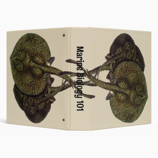Sting Rays Stingrays, Vintage Marine Life Animals Binder (Background)