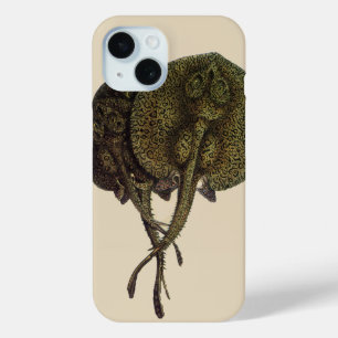 Sting Rays Stingrays, Vintage Marine Life Animals iPhone 15 Case