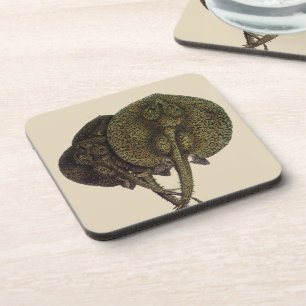 Sting Rays Stingrays, Vintage Marine Life Animals Coaster