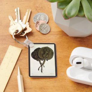 Sting Rays Stingrays, Vintage Marine Life Animals Keychain