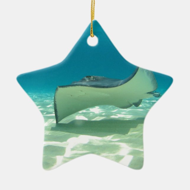 Stingray Ceramic Ornament (Front)