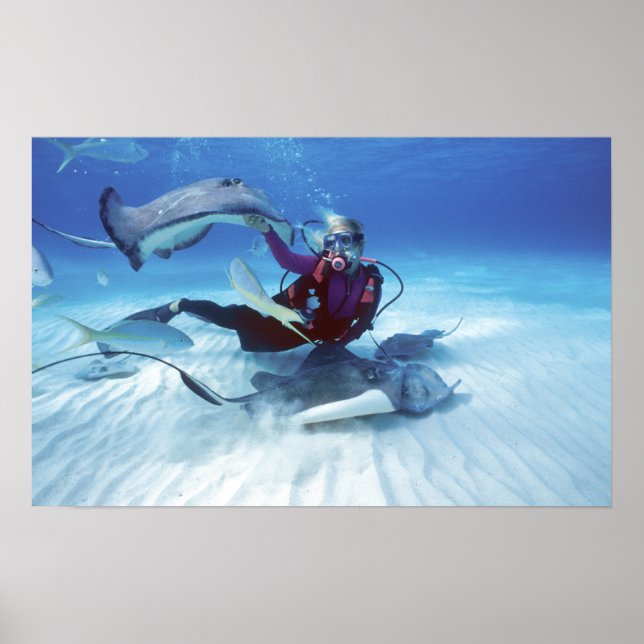 Stingray City, Grand Cayman, Cayman Islands, Poster (Front)