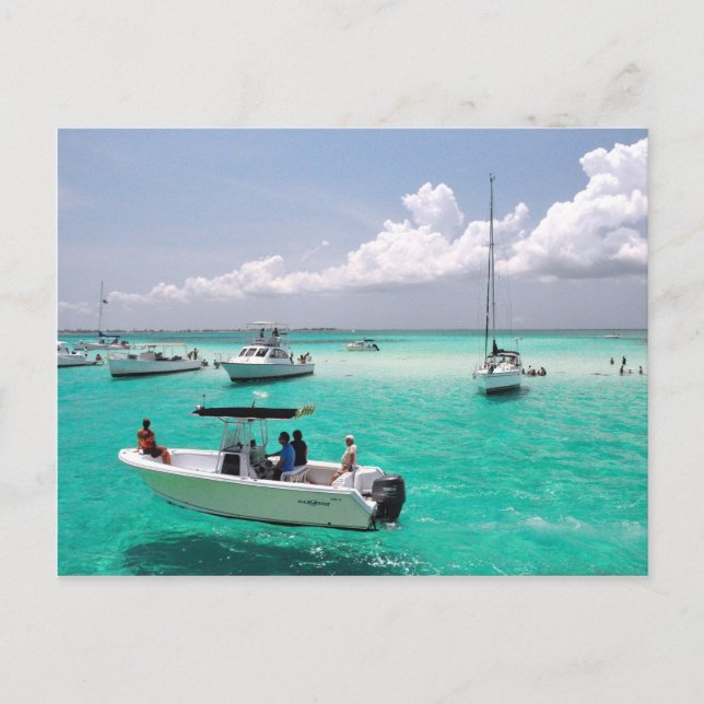 Stingray City Grand Cayman Islands Postcard (Front)
