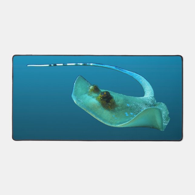 Stingray in motion! Gradient blue background |  Desk Mat (Front)