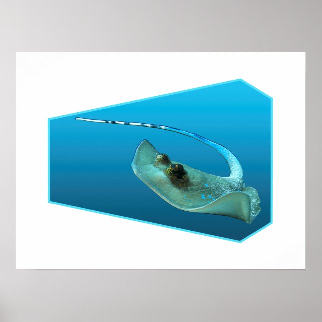 Stingray moving! Design gradient blue background | Poster (Front)