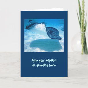 Stingray Note Cards