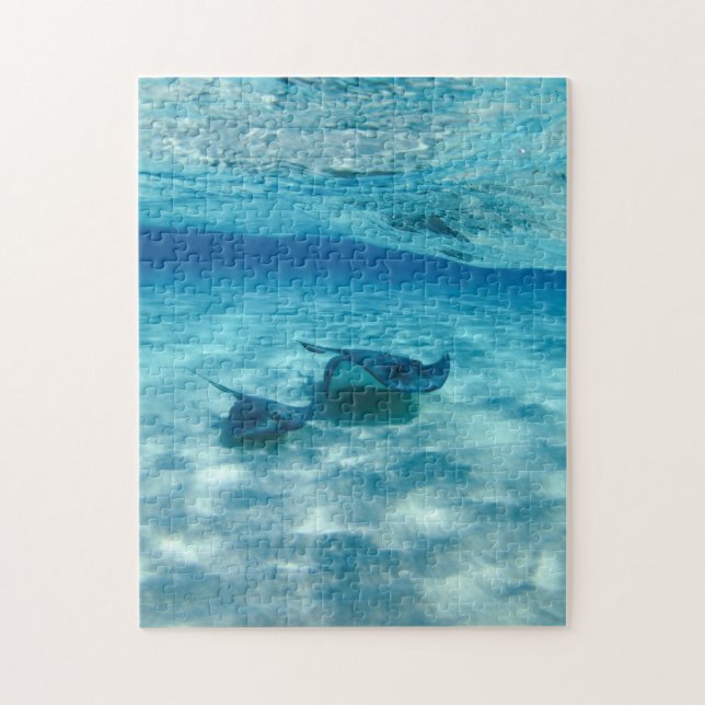 Stingray Ocean Blue Sea Photo Puzzle (Vertical)