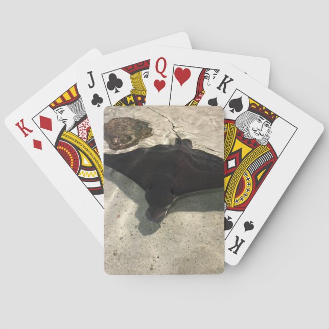 Stingray Playing Cards (Back)