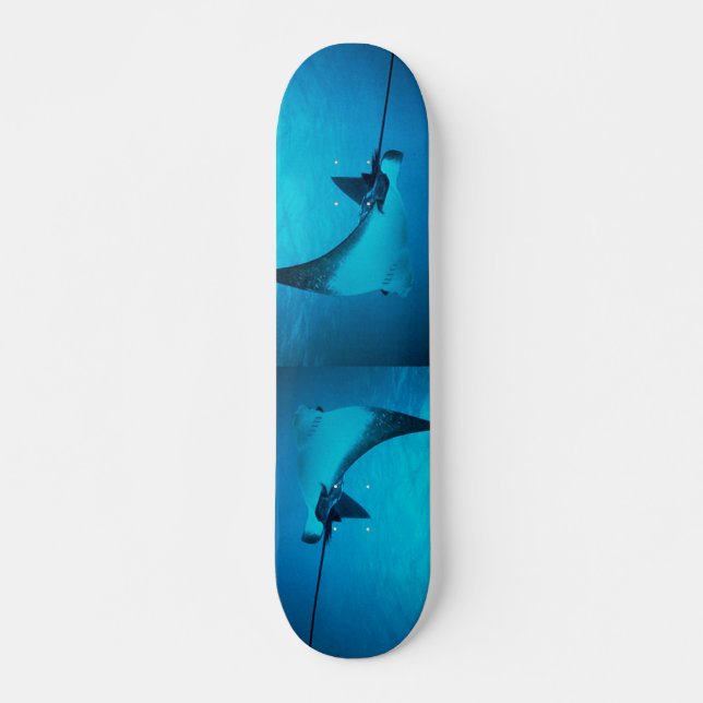 Stingray Skateboard (Devant)