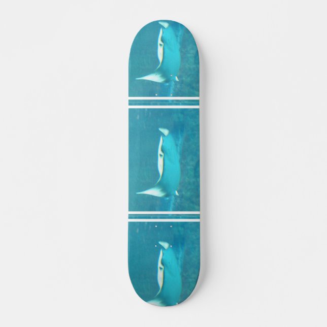 Stingray Skateboard (Front)