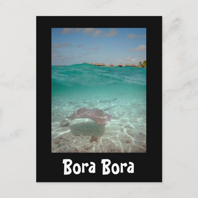 Stingray sous l'eau à Bora Bora carte noire (Devant)