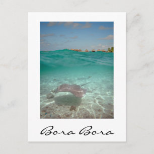 Stingray sous l'eau, Bora Bora carte verticale