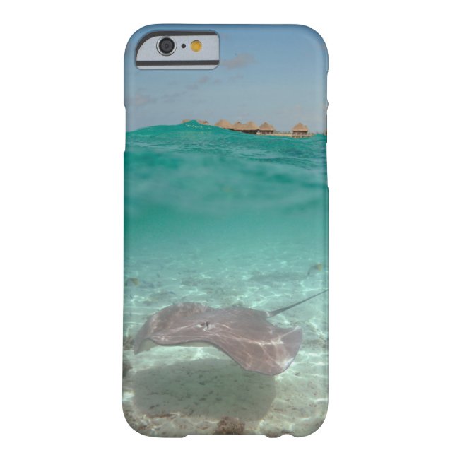 Stingray underwater in Bora Bora iPhone case (Back)