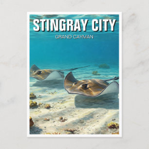 Stingrays in Grand Cayman Travel Postcard