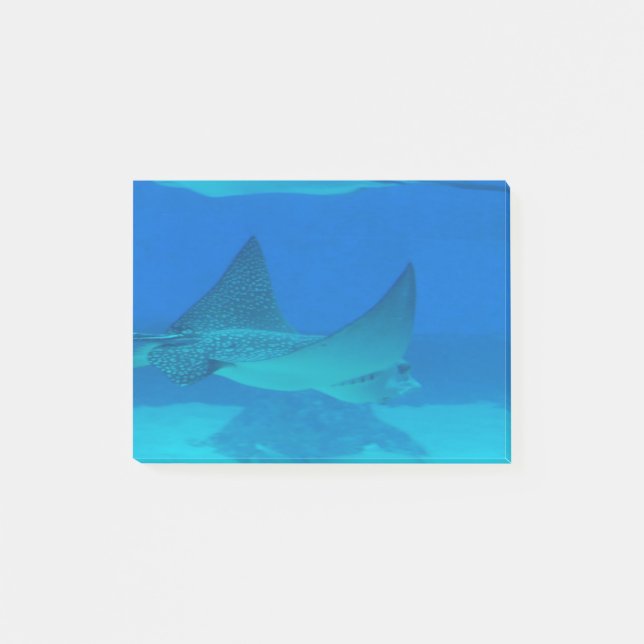 Stingrays Post-it Notes (Front)