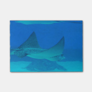 Stingrays Post-it Notes
