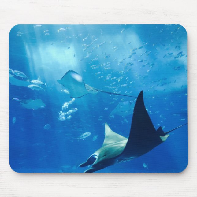 Stingrays Underwater Mouse Pad (Front)