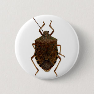 Stink Bug 2 Inch Round Button