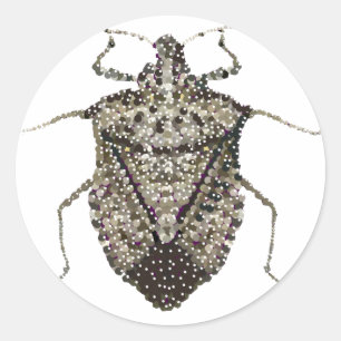 stink bug classic round sticker