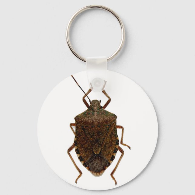 Stink Bug Keychain (Front)