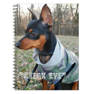 Stink Eye MInPin Notebook
