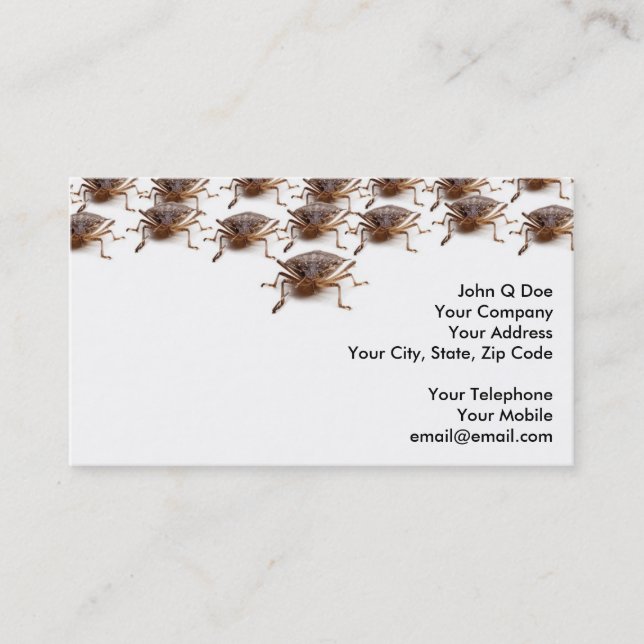 Stink or Shield bug for pest exterminator Business Card (Front)