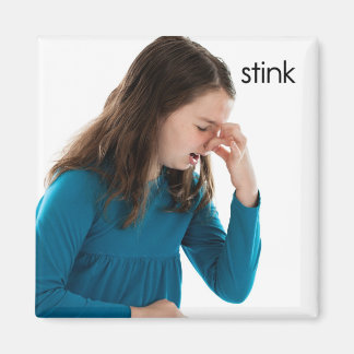 Stink Refrigerator Magnet
