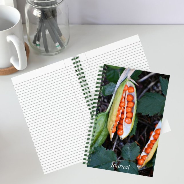 Stinking Iris Seed Pod Photo Notebook (In Situ)
