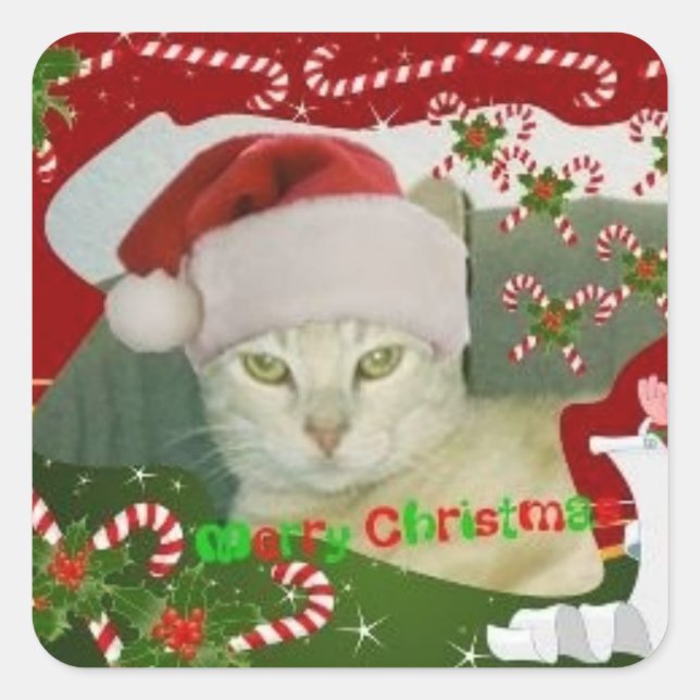 Stinky Christmas 1 Square Sticker (Front)