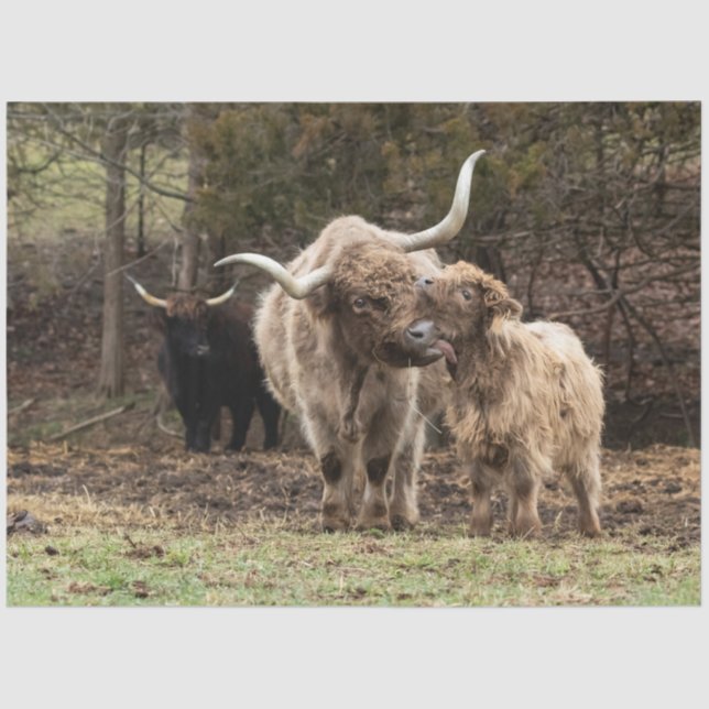 Stirling Skye Tissue Paper (Front)