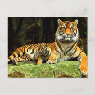 Stirring Instant Innovative Rewarding Postcard