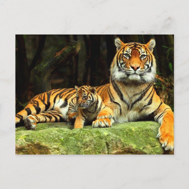 Stirring Instant Innovative Rewarding Postcard (Front)