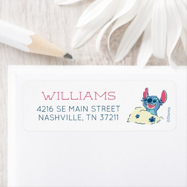 Stitch | Baby Shower (Insitu)