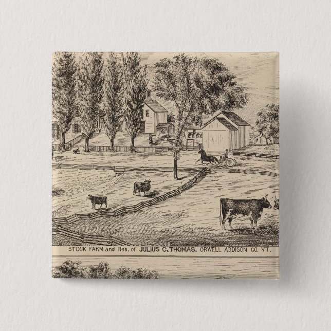 Stock farm in Orwell Vermont 2 Inch Square Button (Front)