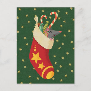 stockage carte postale vintage