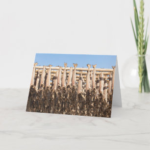 Stockfish Lofoten Islands Card