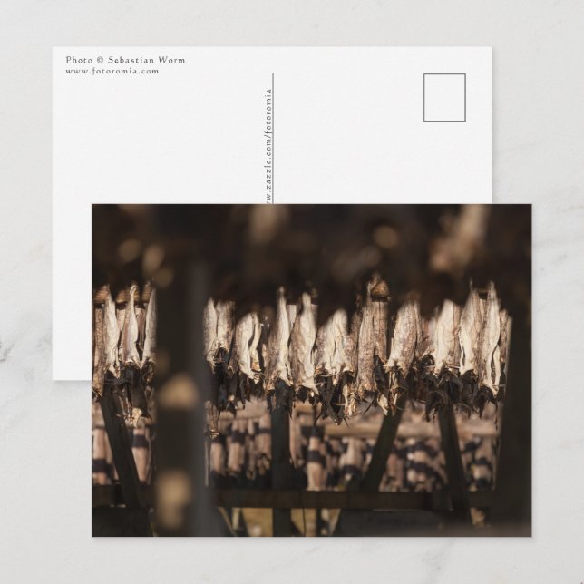 Stockfish Lofoten Islands Postcard (Front/Back)