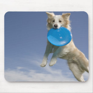 Stockton, California, USA Mouse Pad