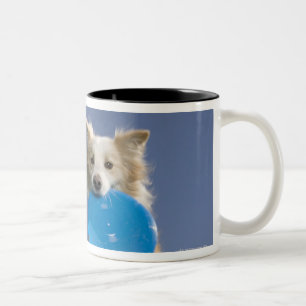 Stockton, California, USA Two-Tone Coffee Mug