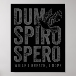 Stoic Philosophy Gray Translation Stoicism Dum Spi Poster