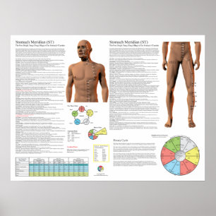 Stomach Meridian Acupuncture Points Poster