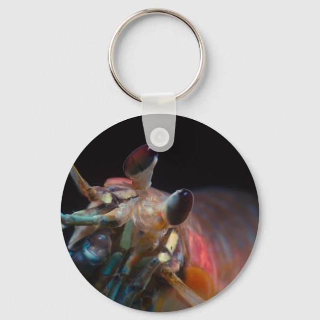 Stomatopod (Mantis Shrimp) Keychain (Front)