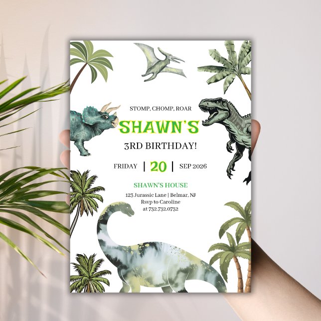 Stomp, Chomp, Roar! Dinosaur 3rd Birthday Party Invitation (Stomp, Chomp, Roar! Dinosaur 3rd Birthday Party Invitation
)