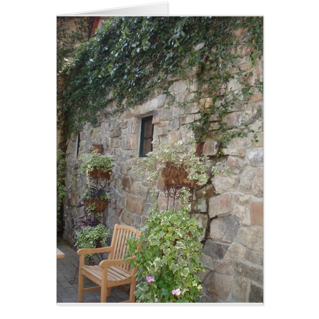 Stone and Ivy with Garden Bench (Front)