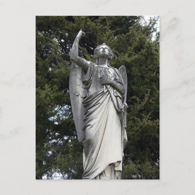 Stone Angel with Pine Trees in Background Postcard (Front)