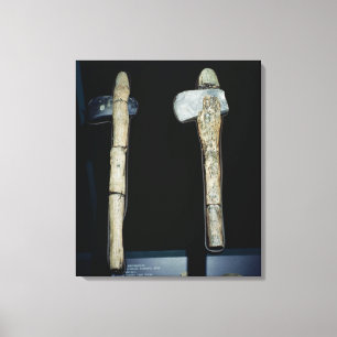 Stone Axes, prehistoric Canvas Print